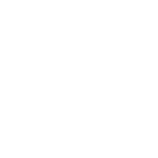Modern buses with air conditioning and wifi
